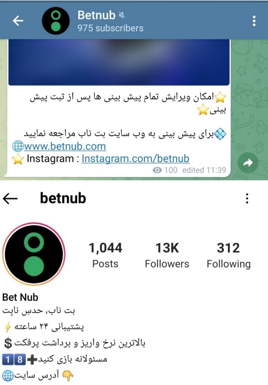 ادرس های سایت betnub