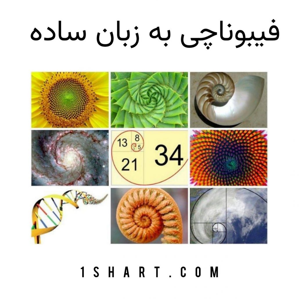 استراتژی فیبوناچی