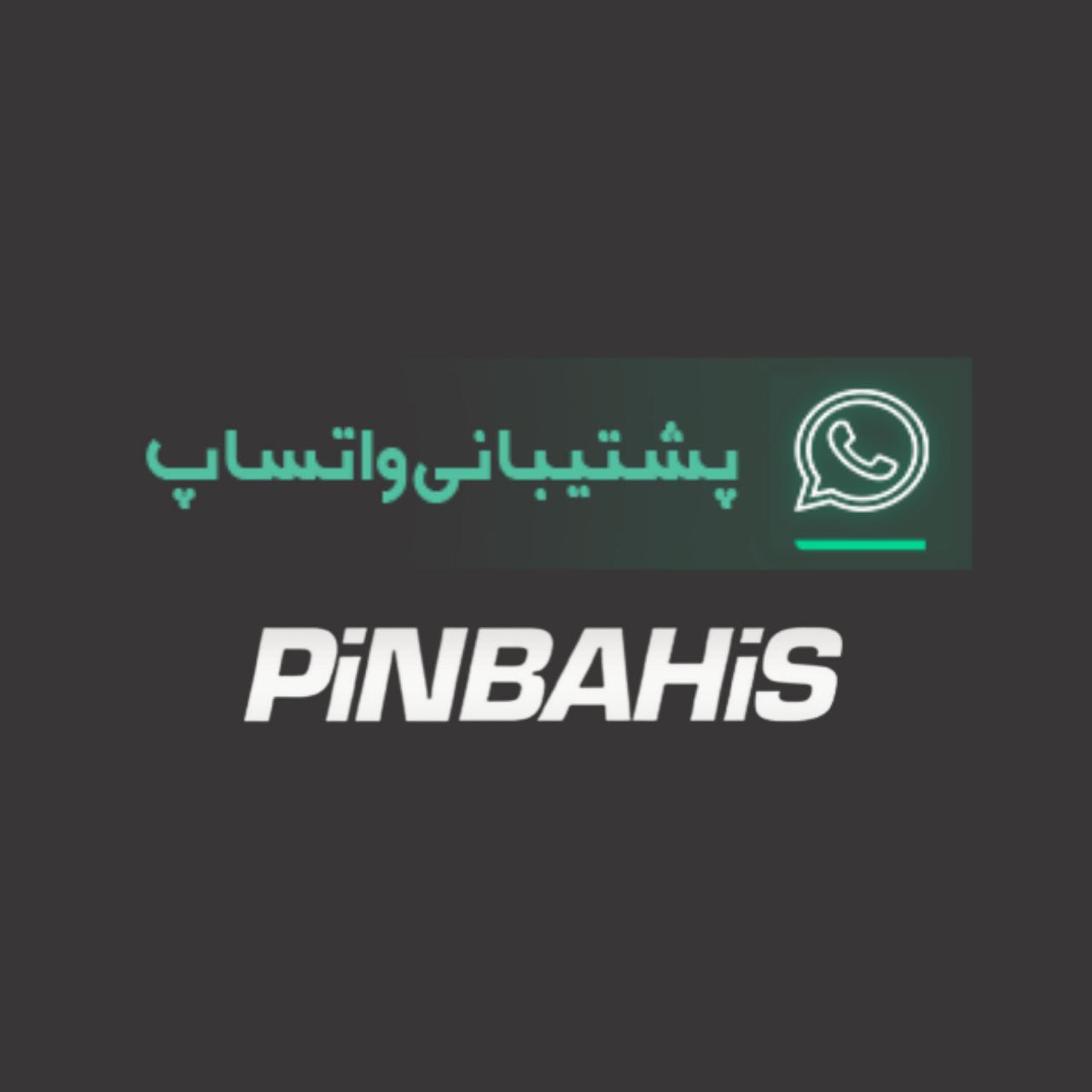 پشتیبانی واتساپ پین باهیس